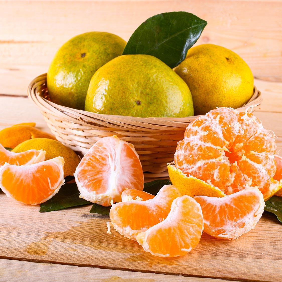 답례품 히어로이미지