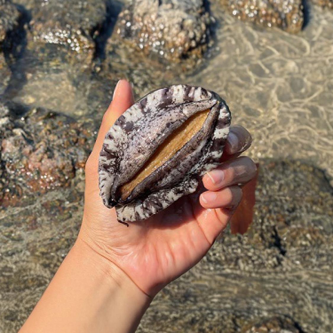 답례품 히어로이미지