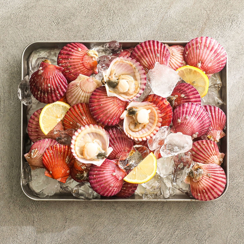 답례품 히어로이미지