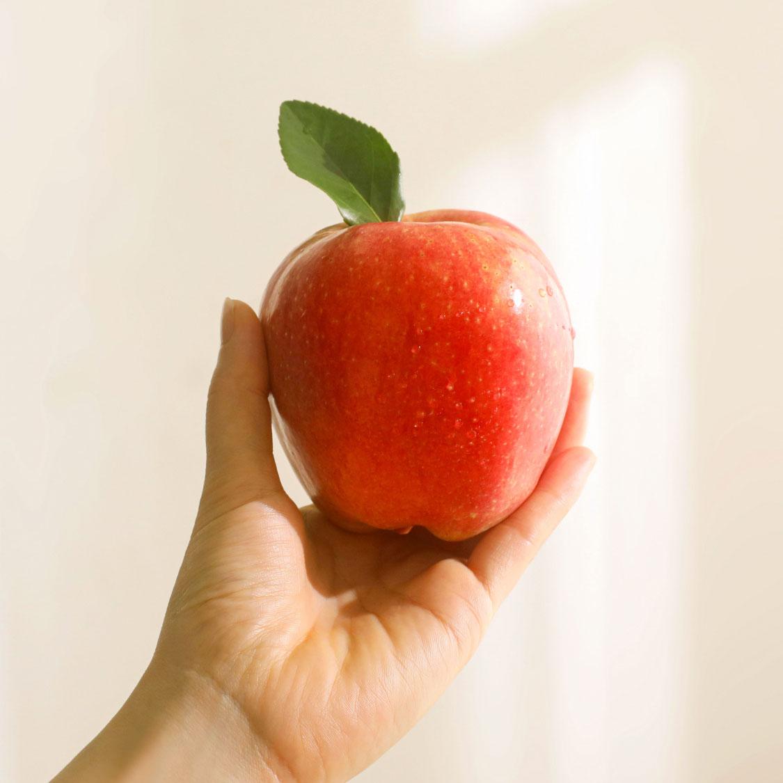 답례품 히어로이미지