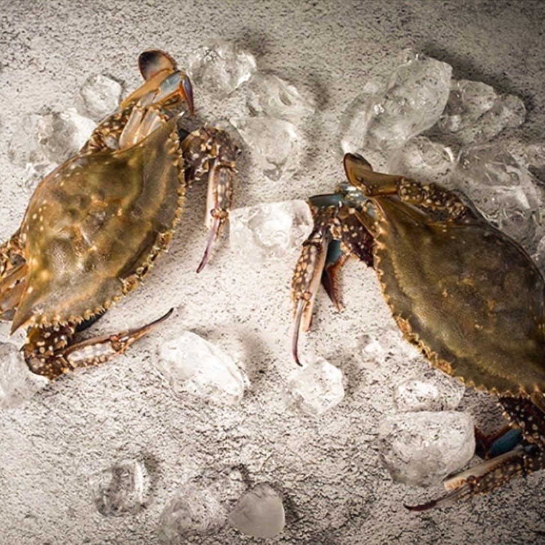 국내산 최상급 꽃게장 (땡초/일반/양념) 최대 1.8kg