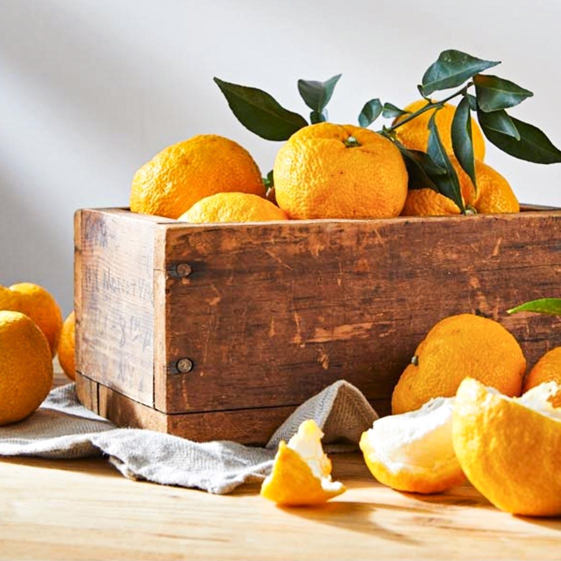 답례품 히어로이미지