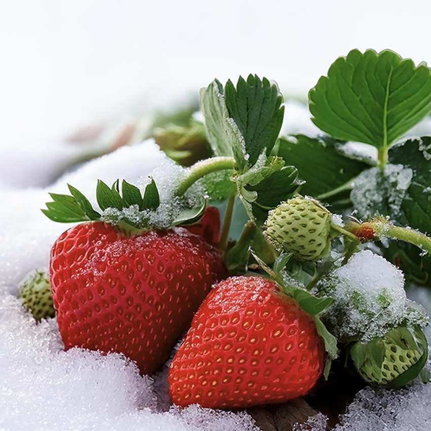 답례품 히어로이미지