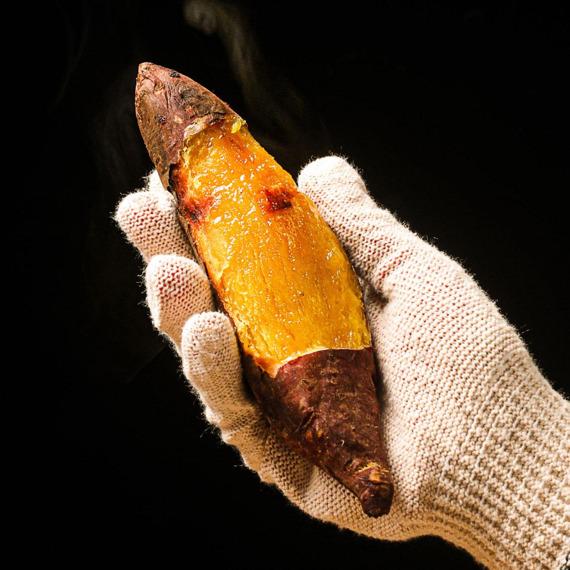 욕지도 고구마 (꿀고구마 5kg, 밤고구마 5kg, 호박고구마 5kg) 