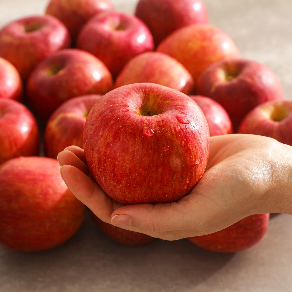 [실속형] 무주 반딧불 부사 4kg(18과)