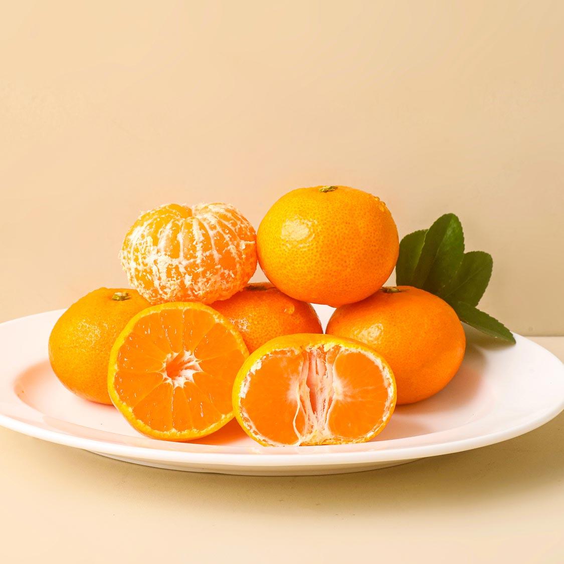 행복담원 타이벡귤 5kg (로얄과)