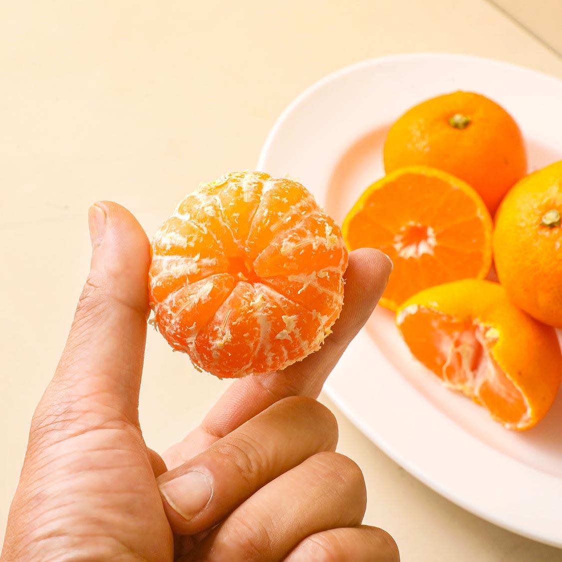 행복담원 타이벡귤 5kg (로얄과)