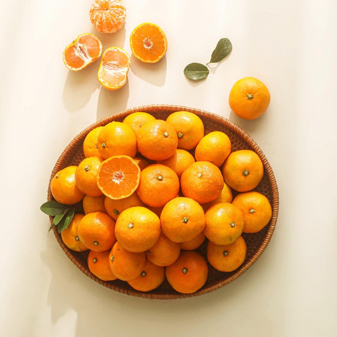 행복담원 타이벡귤 5kg (로얄과)