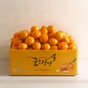 귤로장생 감귤 4kg × 2박스 / 9kg  × 1박스