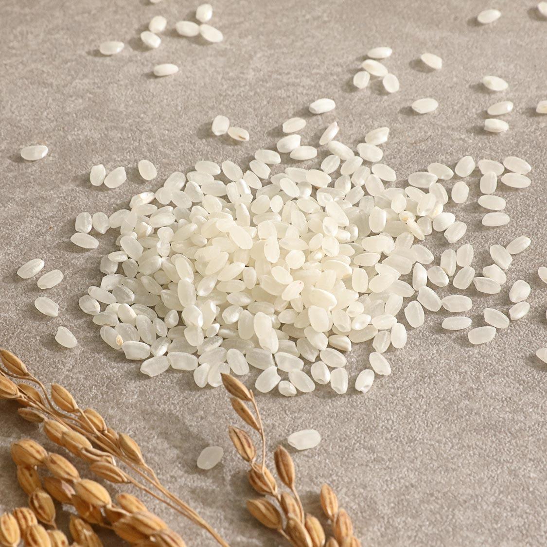 25년 햅쌀 수호천사미 10kg(500g+500g=1kg 현미 추가 증정)