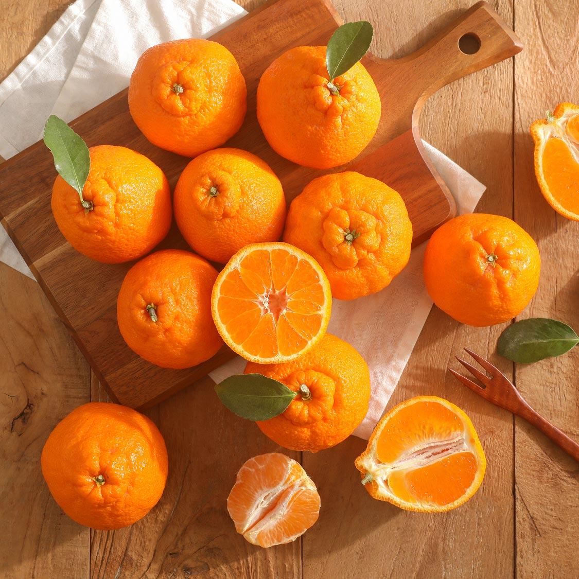 [선착순 1만명] 한라봉 2.5kg + 천혜향 2.5kg