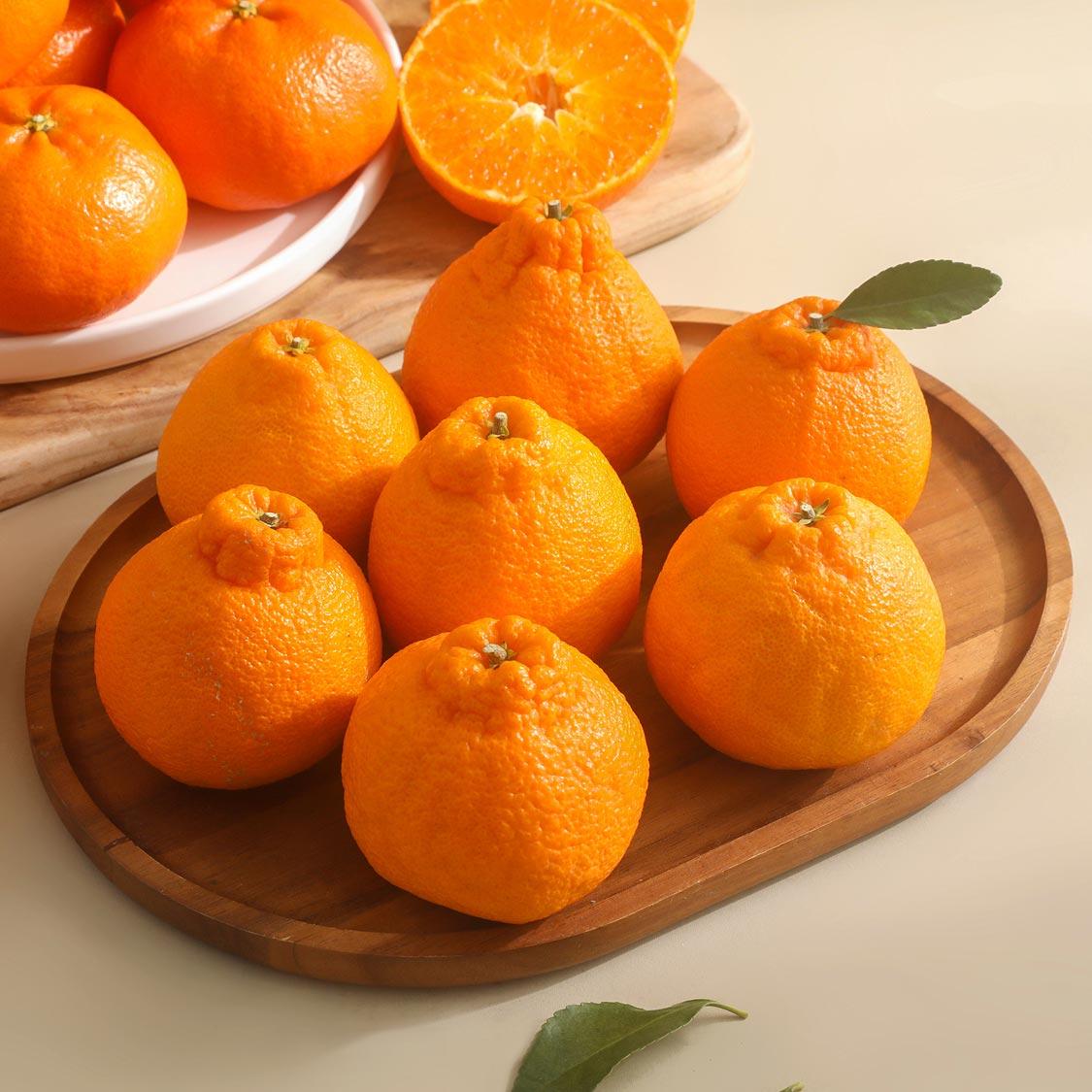 [선착순 1만명] 천혜향 2.5kg + 한라봉 2.5kg