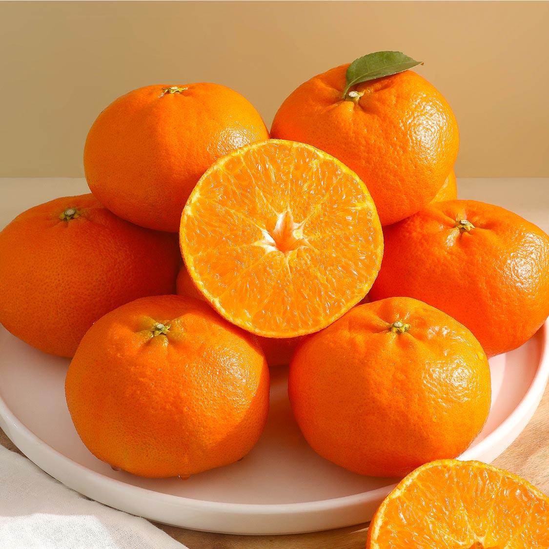 [선착순 1만명] 천혜향 2.5kg + 한라봉 2.5kg