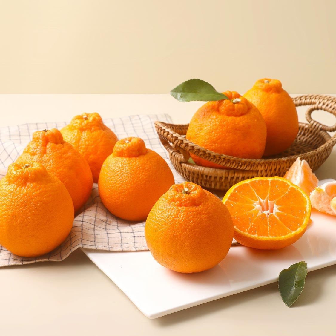 [선착순 1만명] 천혜향 2.5kg + 한라봉 2.5kg