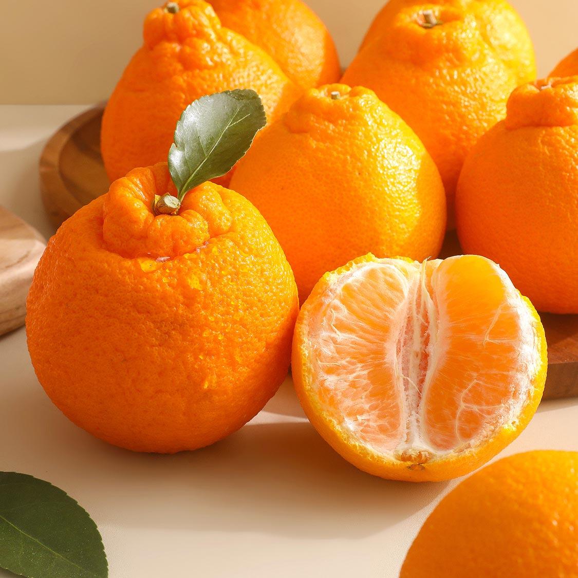 [선착순 1만명] 천혜향 2.5kg + 한라봉 2.5kg