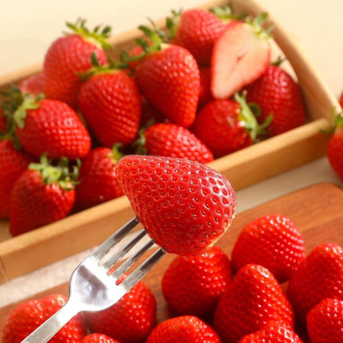 향이 좋은 금실 새벽 딸기 700g(계절 상품)