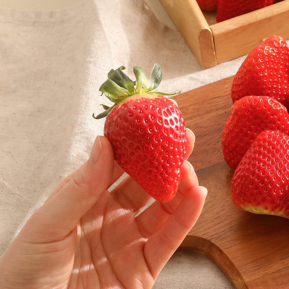 향이 좋은 금실 새벽 딸기 700g(계절 상품)