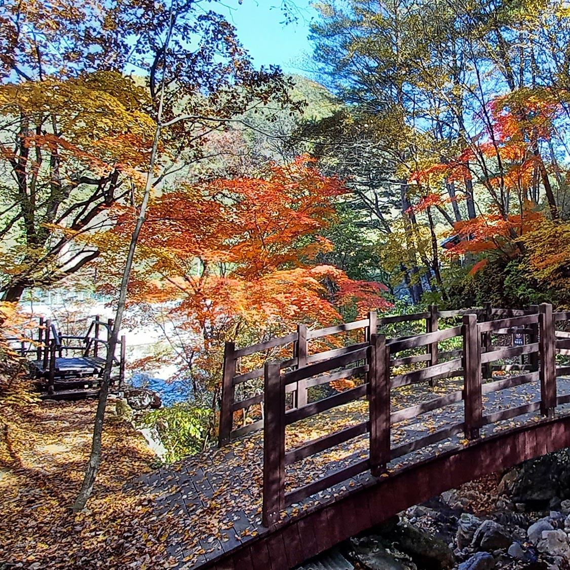 갯골, 하추자연휴양림 숙박 할인권