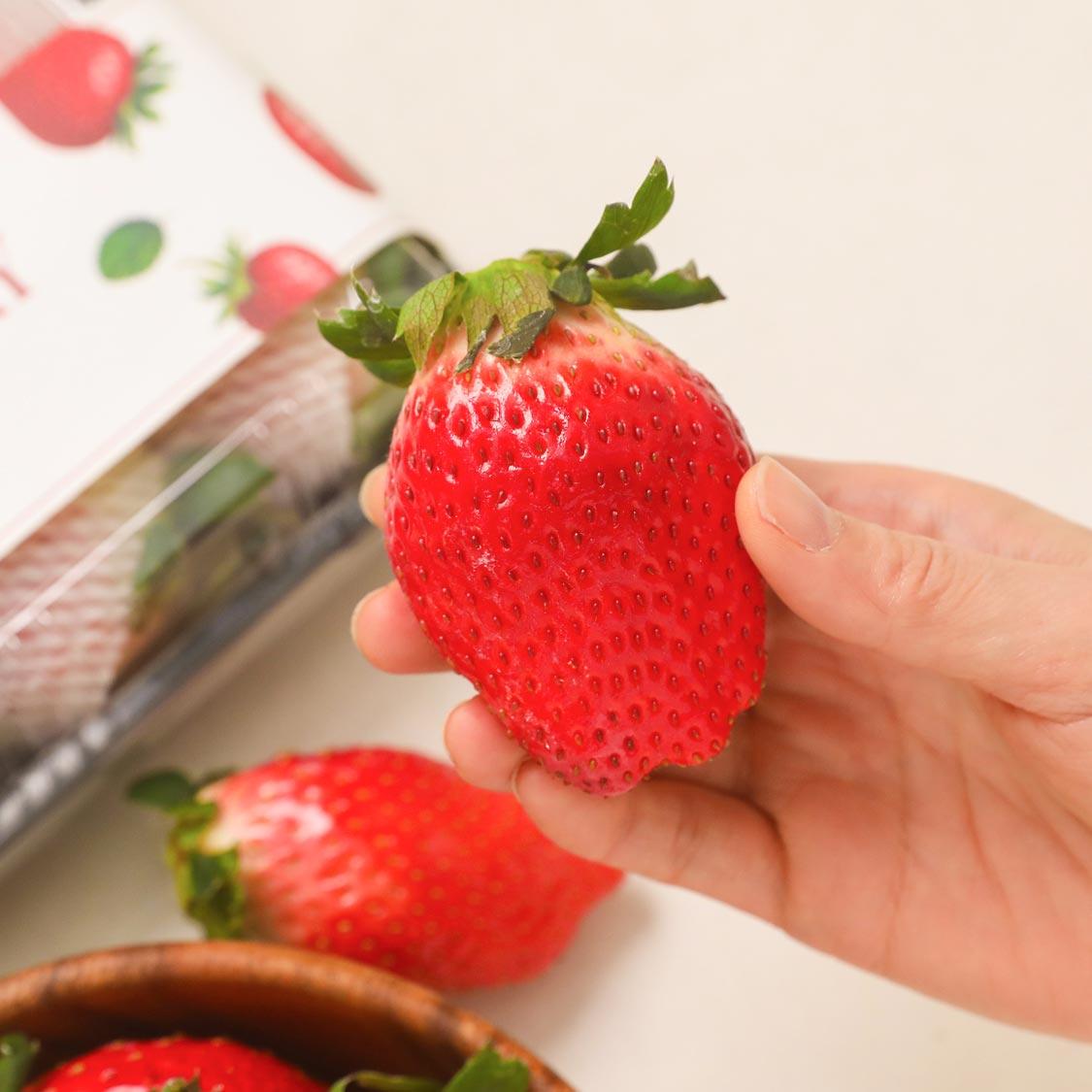 [수량한정] 논산 비타베리 800g/킹스베리 800g