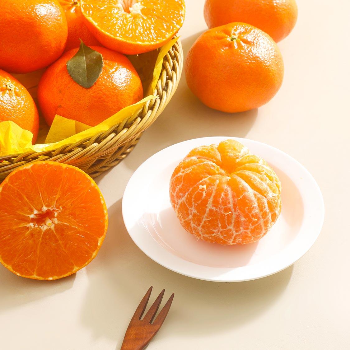 [선착순 1만명] 레드향 2.5kg + 천혜향 2.5kg