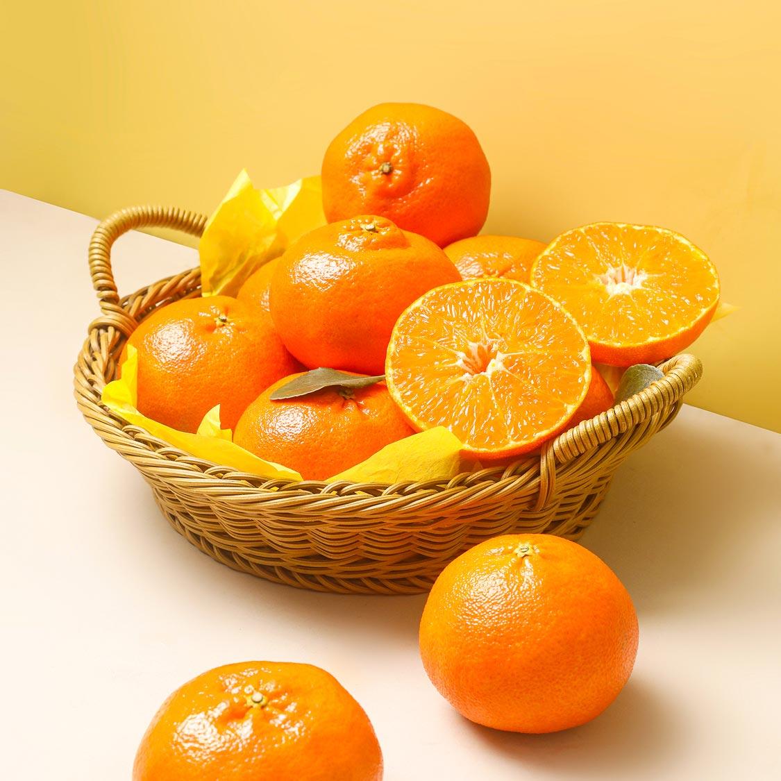 [선착순 1만명] 레드향 2.5kg + 한라봉 2.5kg