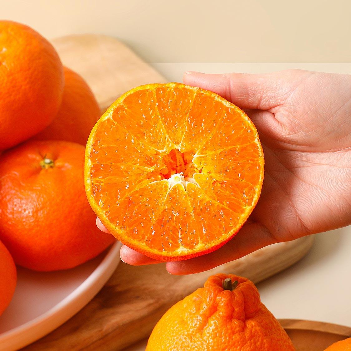 [선착순 1만명] 천혜향 2.5kg + 한라봉 2.5kg