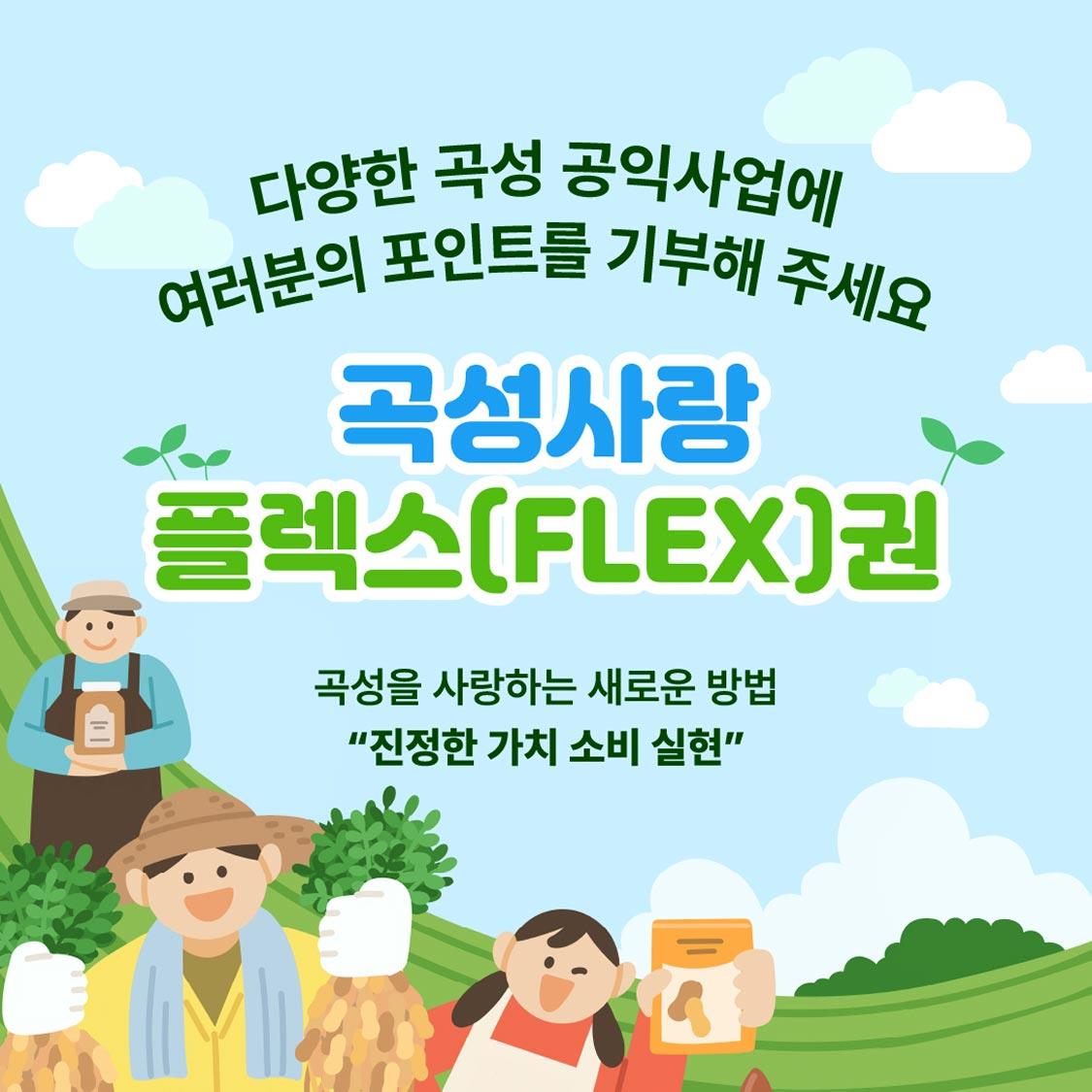 곡성사랑 플렉스권 3만원