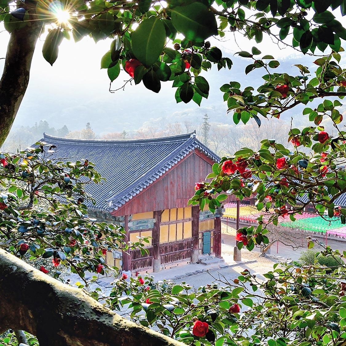 선운사템플스테이체험 할인권