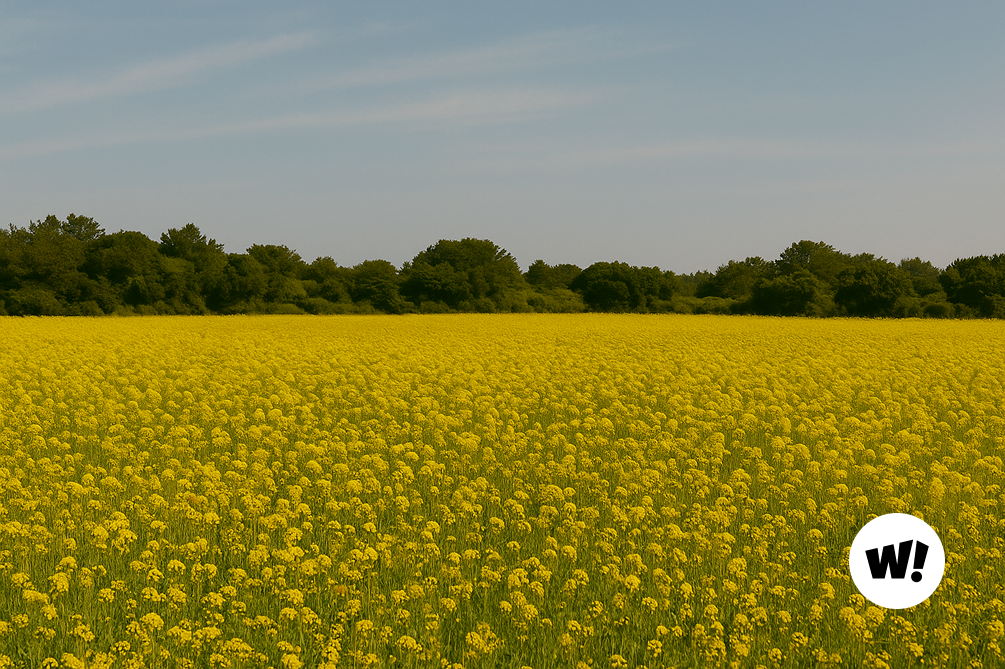 제주의 자연을  2배, 3배로 즐겨요