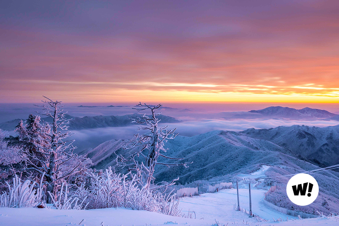 속도에 휘둘리지 않고, 스스로의 리듬으로 살아가는 태도