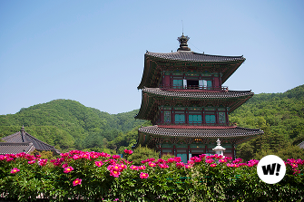 걸을수록 고요해지는 마음 오를수록 가까워지는 사유의 시간