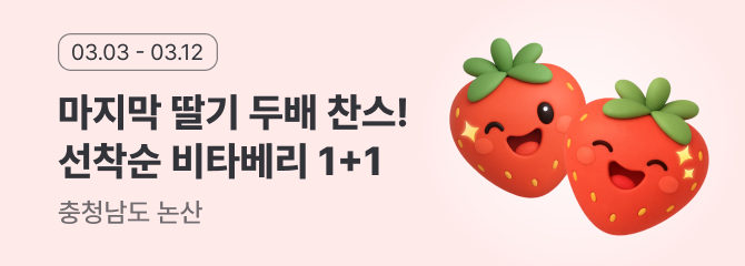 논산 딸기 마지막 1+1 이벤트