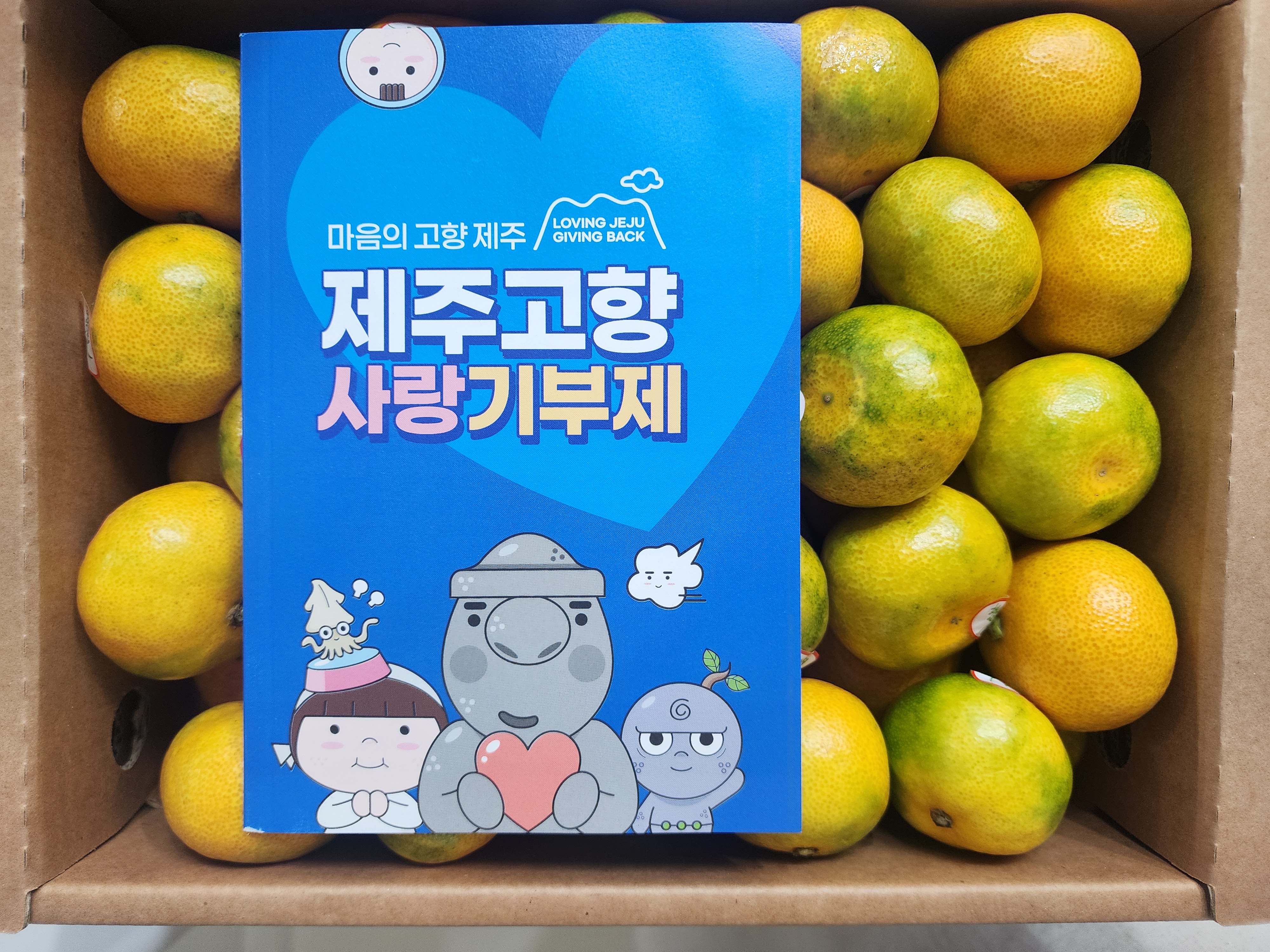 효돈 농협 감귤 (3kg/5kg)-1