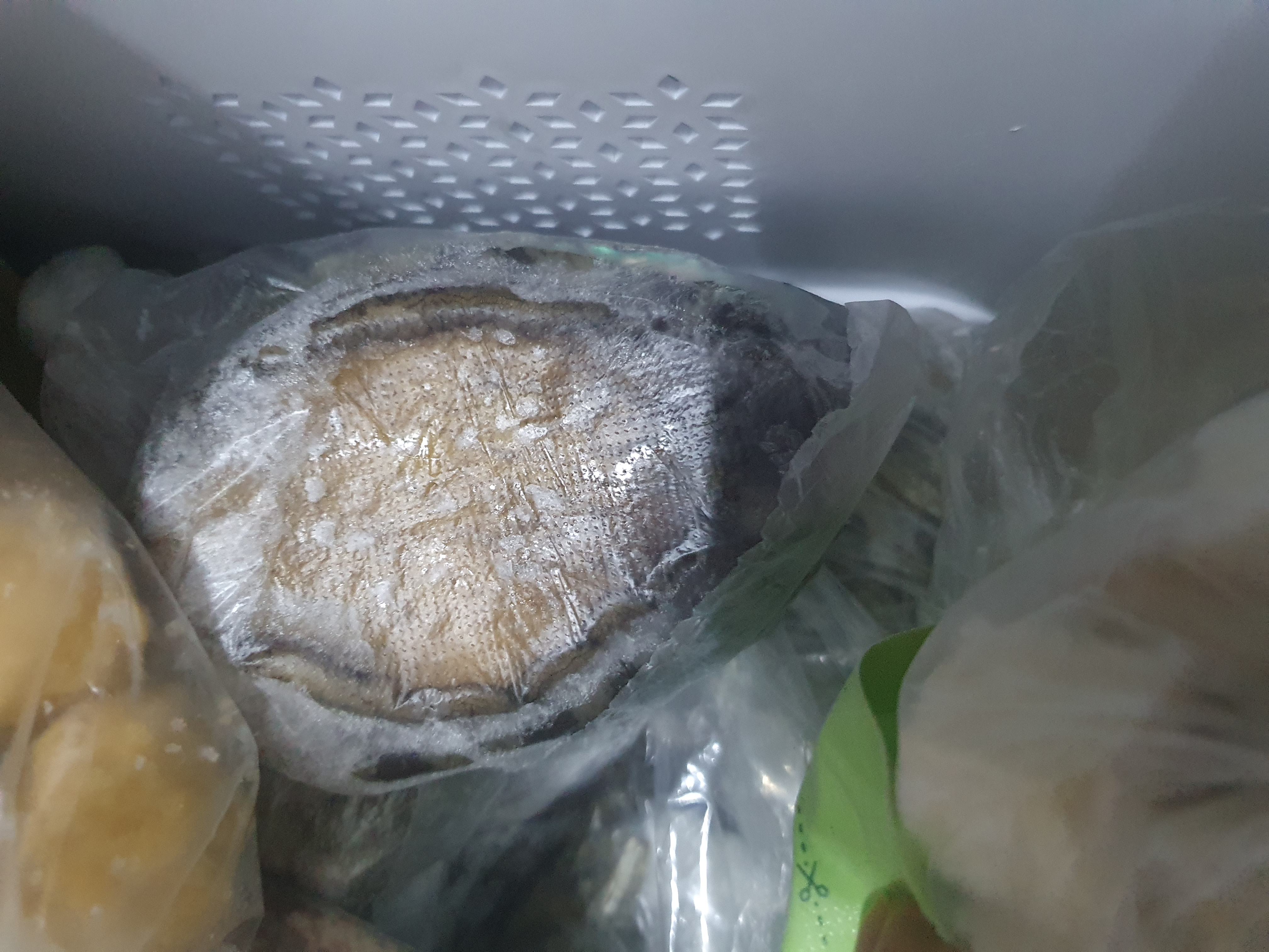 완도전복 실속선물세트 (특대/특)-1