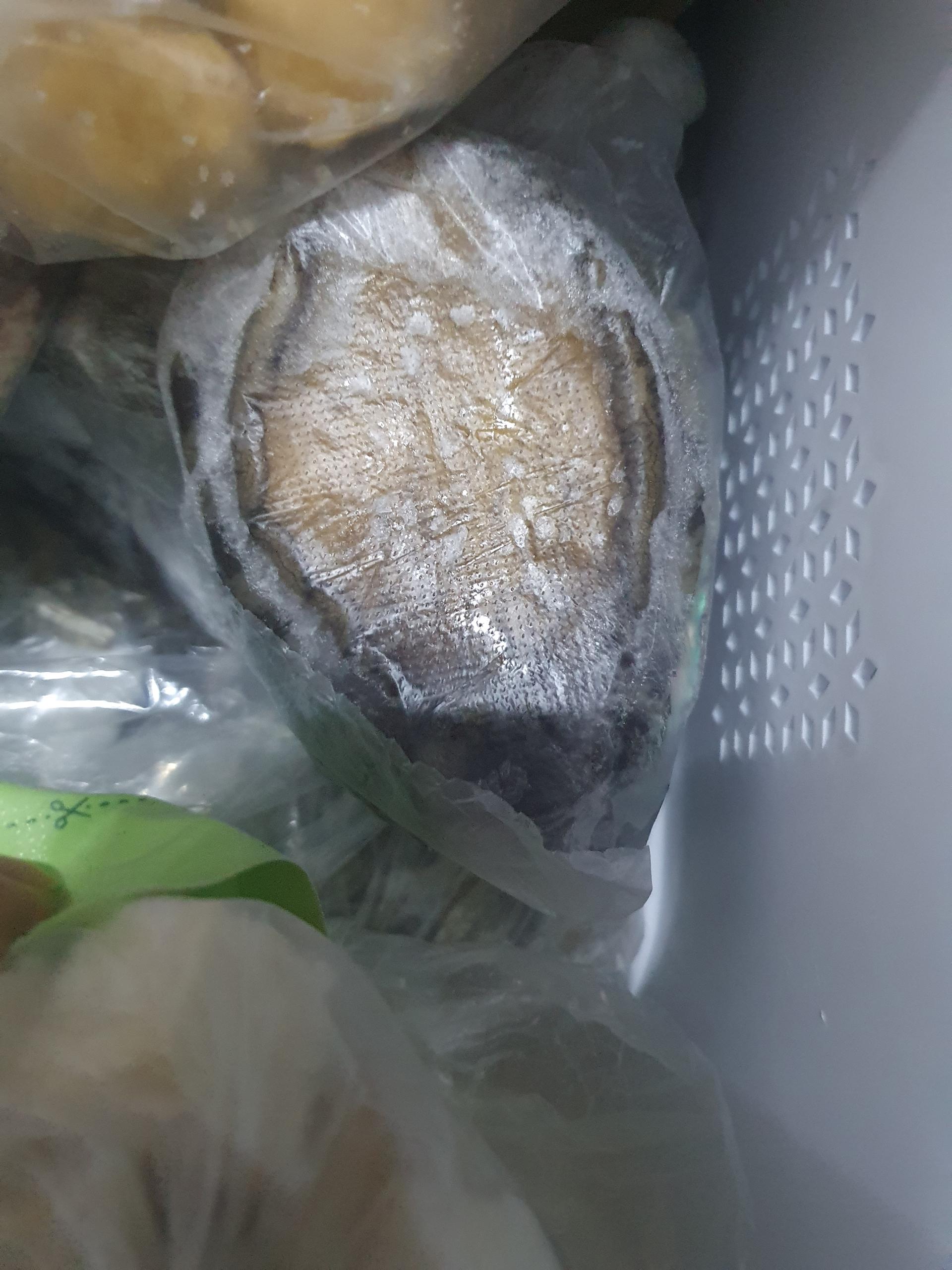 완도전복 실속선물세트 (특대/특)