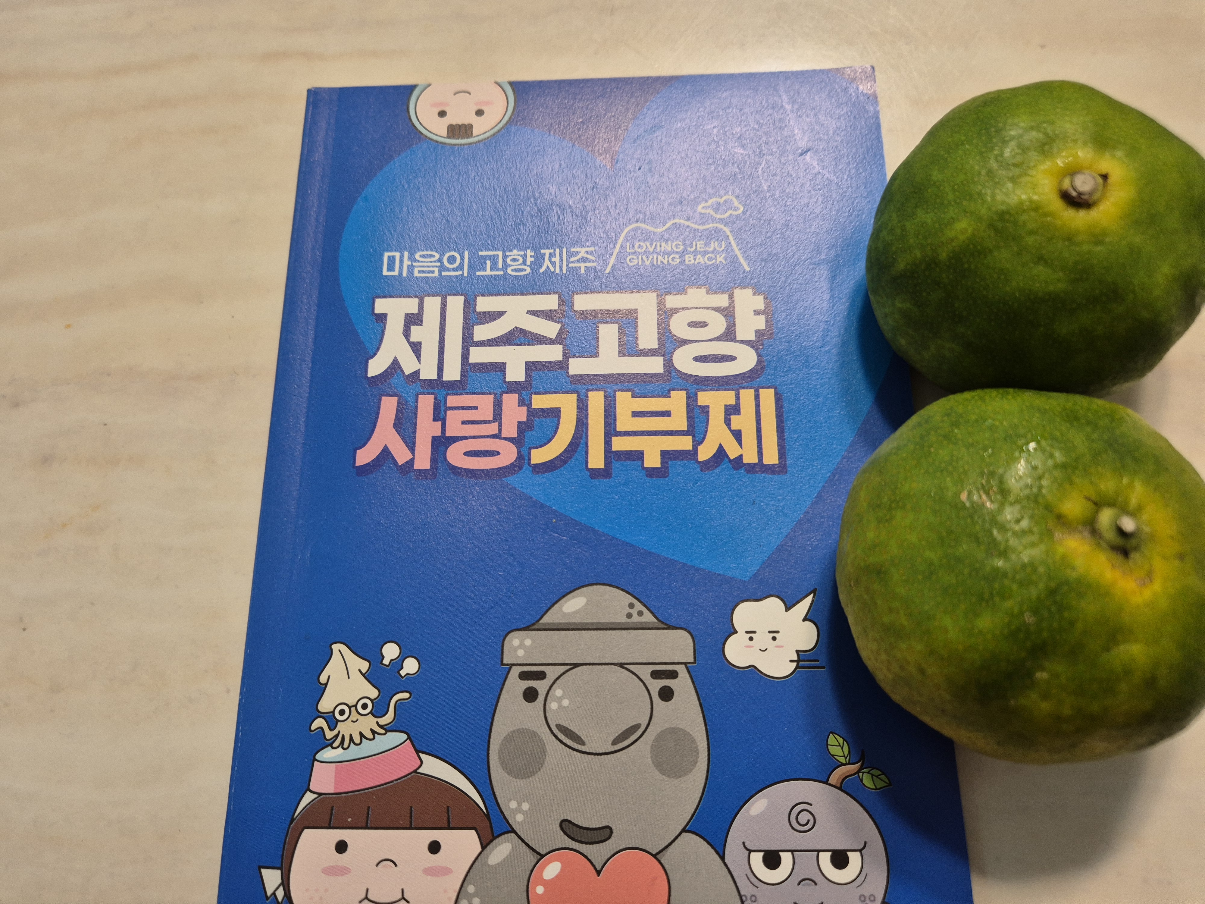 효돈 농협 감귤 (3kg/5kg)-1