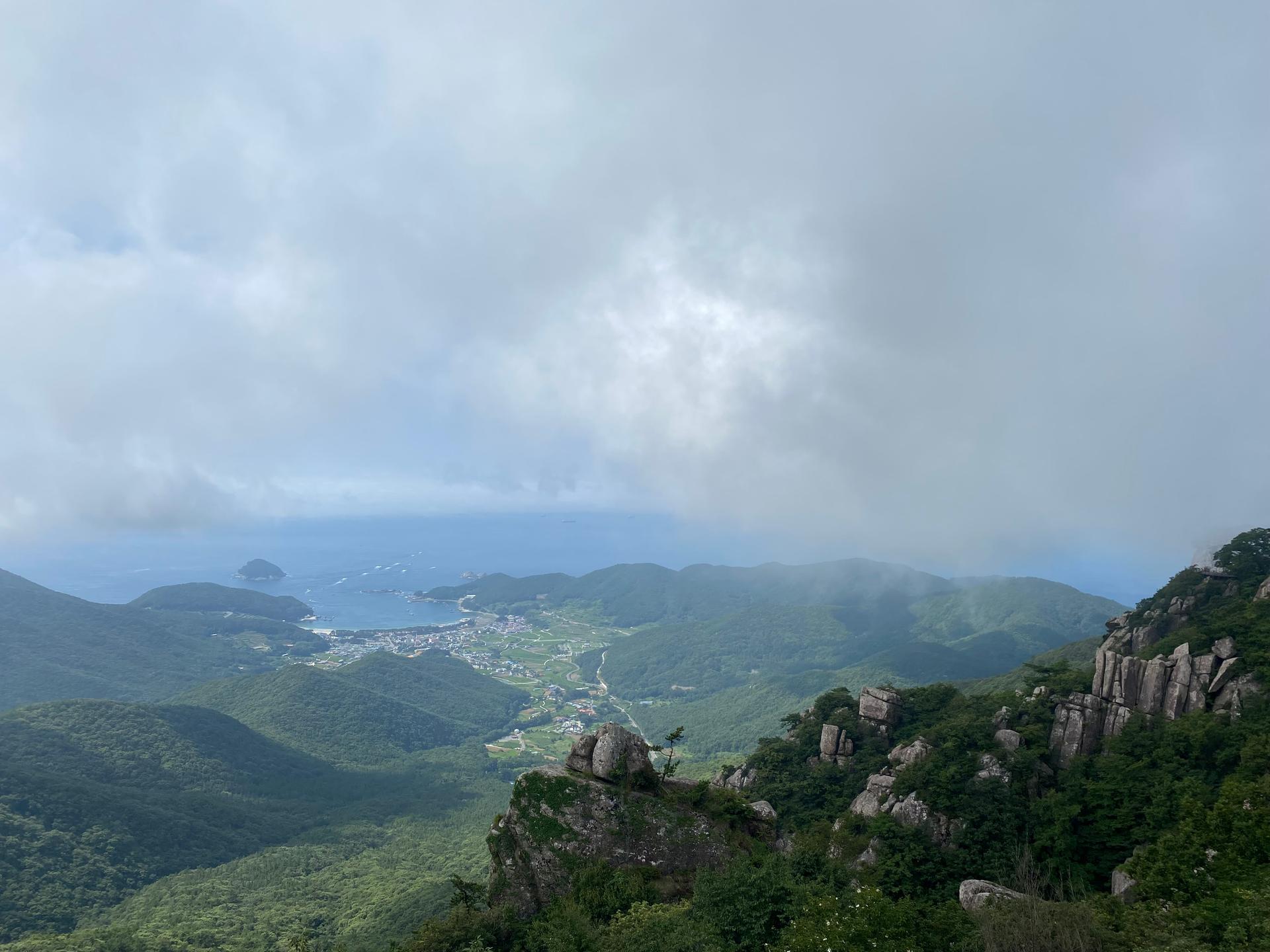 프리미엄 수제 떡갈비 세트 