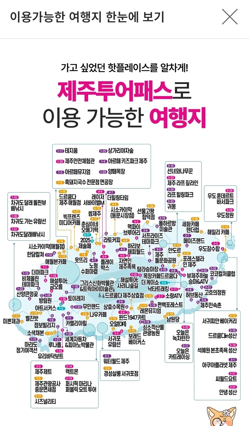 포토후기 이미지