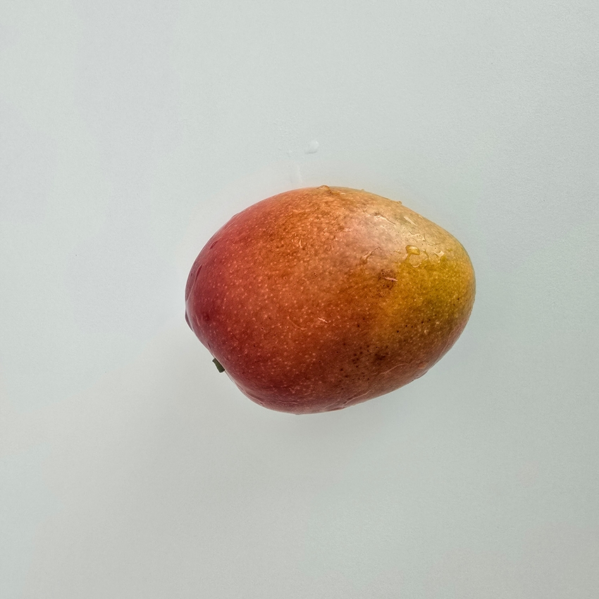포토후기 이미지