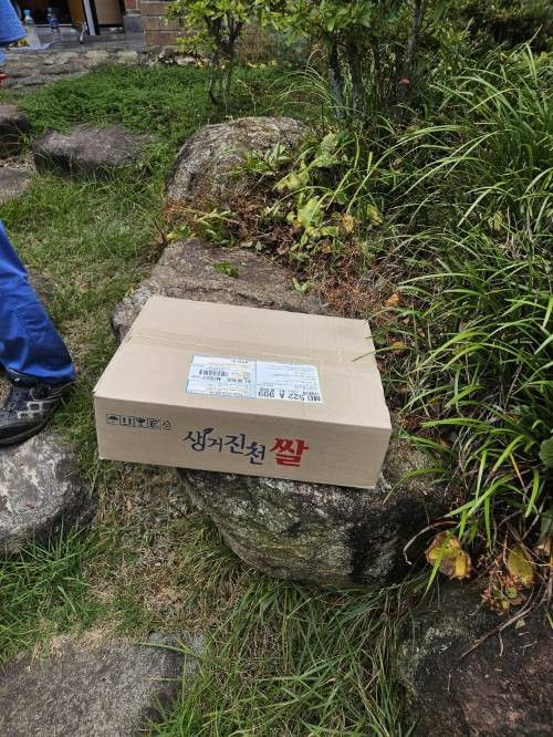 생거진천쌀 10kg-1