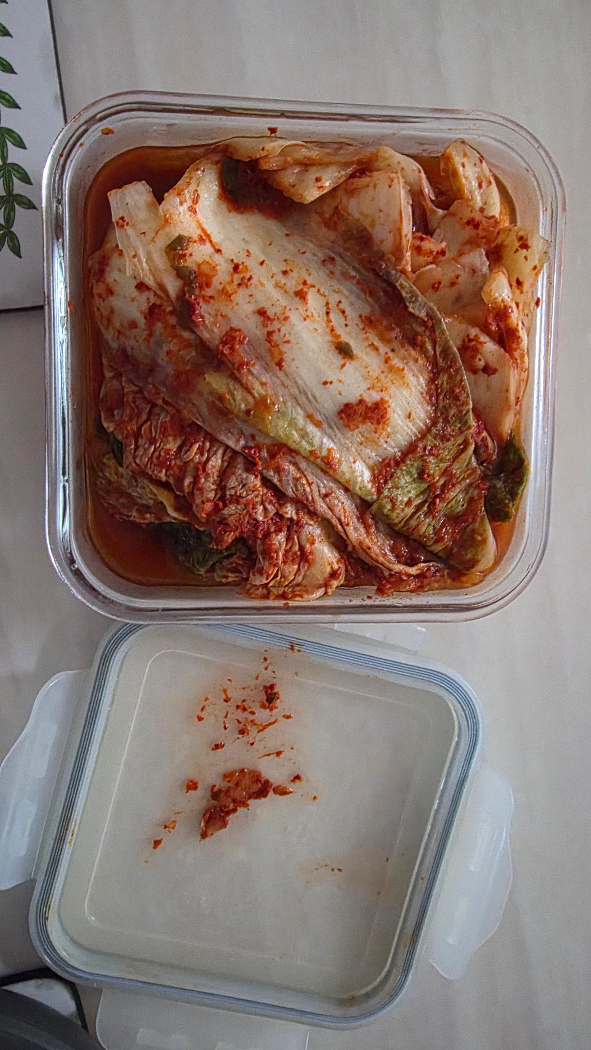 해담촌 전라도 대표 포기김치 (총 3kg)