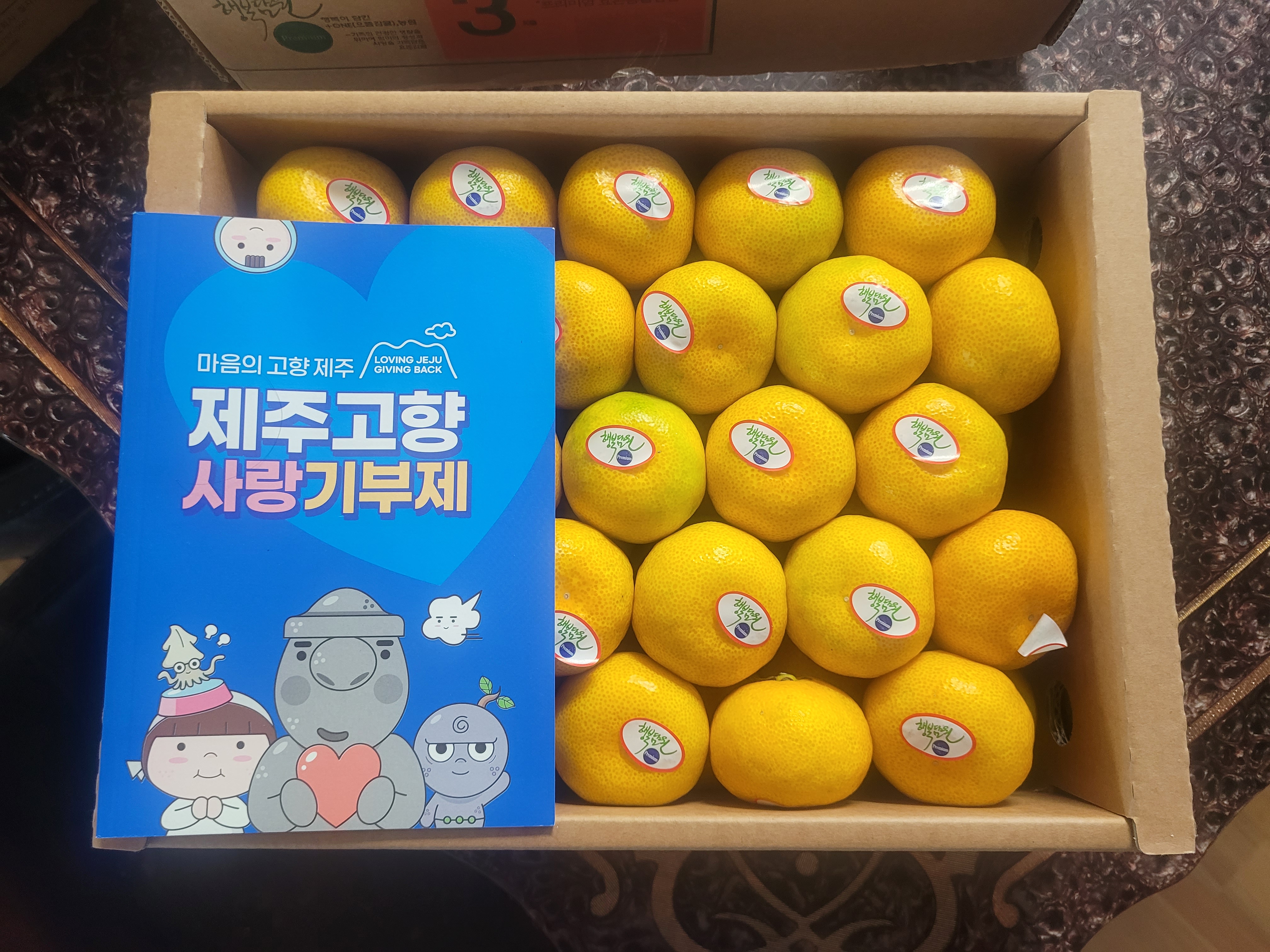 효돈 농협 감귤 (3kg/5kg)-1