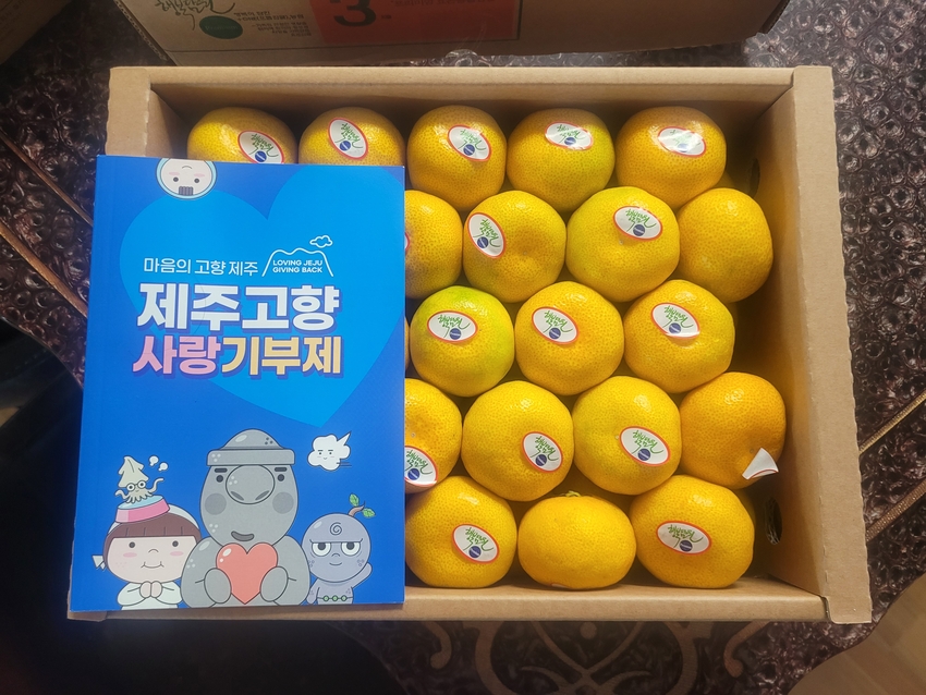 포토후기 이미지