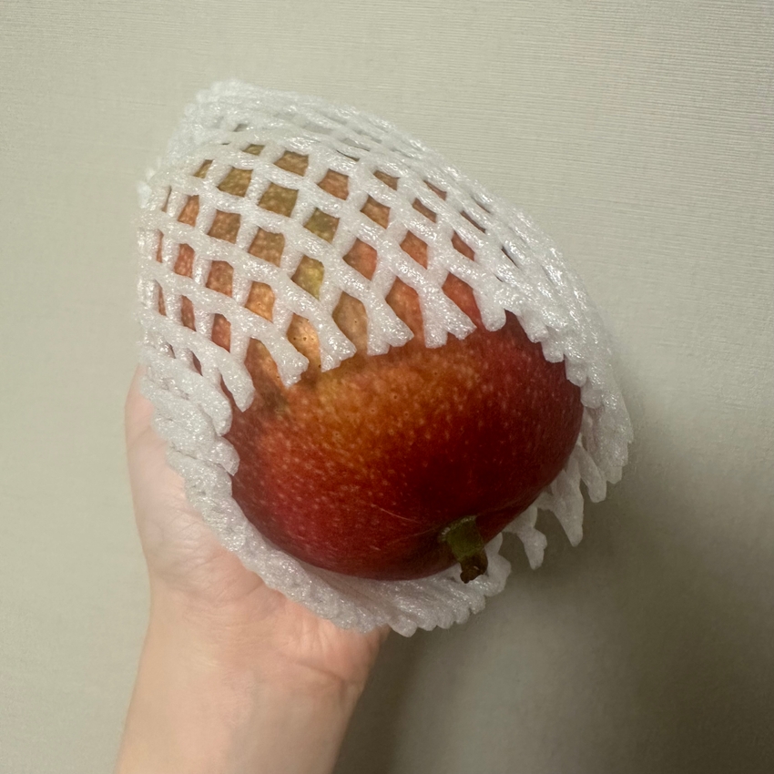 포토후기 이미지