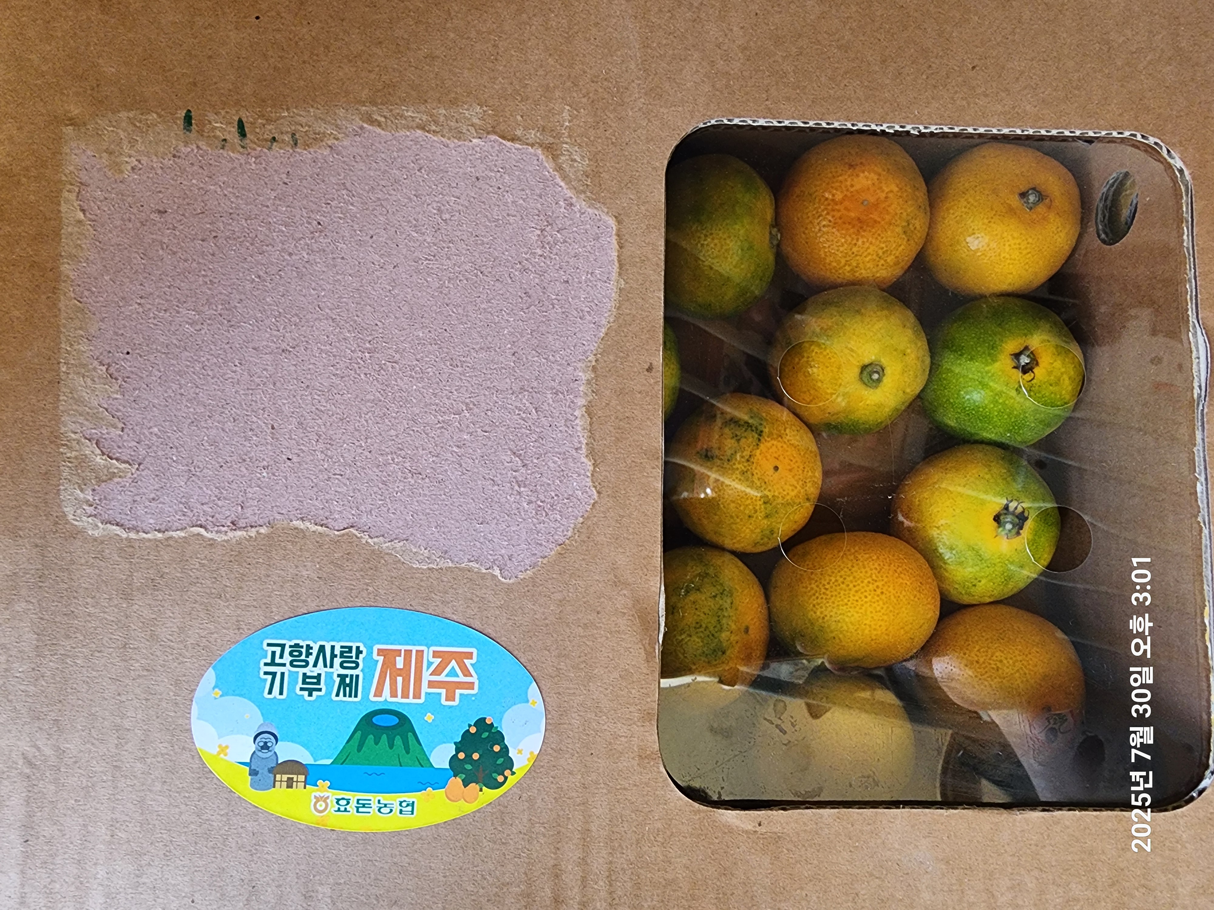 효돈 농협 감귤 (3kg/5kg)-1