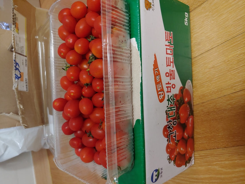 포토후기 이미지