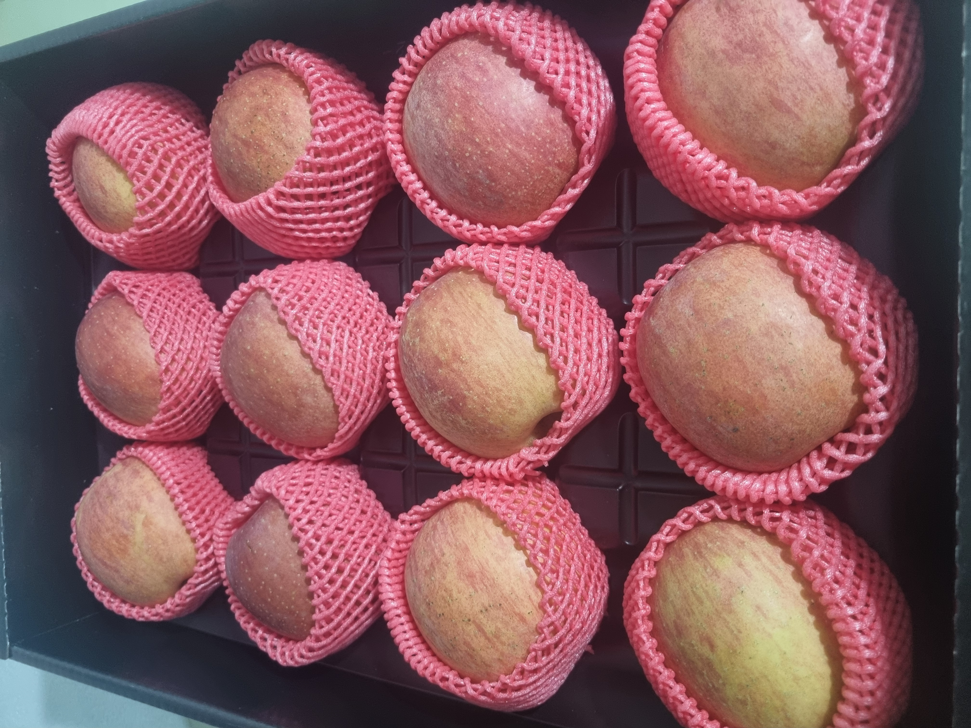 대경사과원예농협 영주사과 3.5kg 선물세트 (10입내)-1