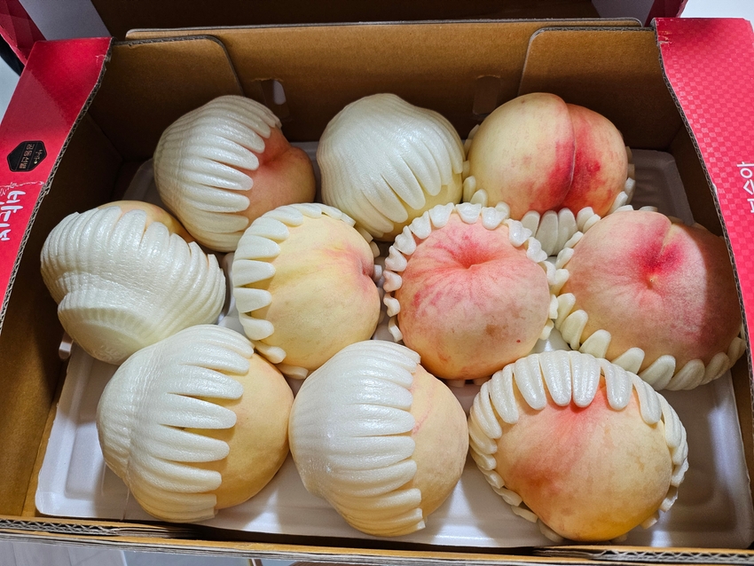 포토후기 이미지