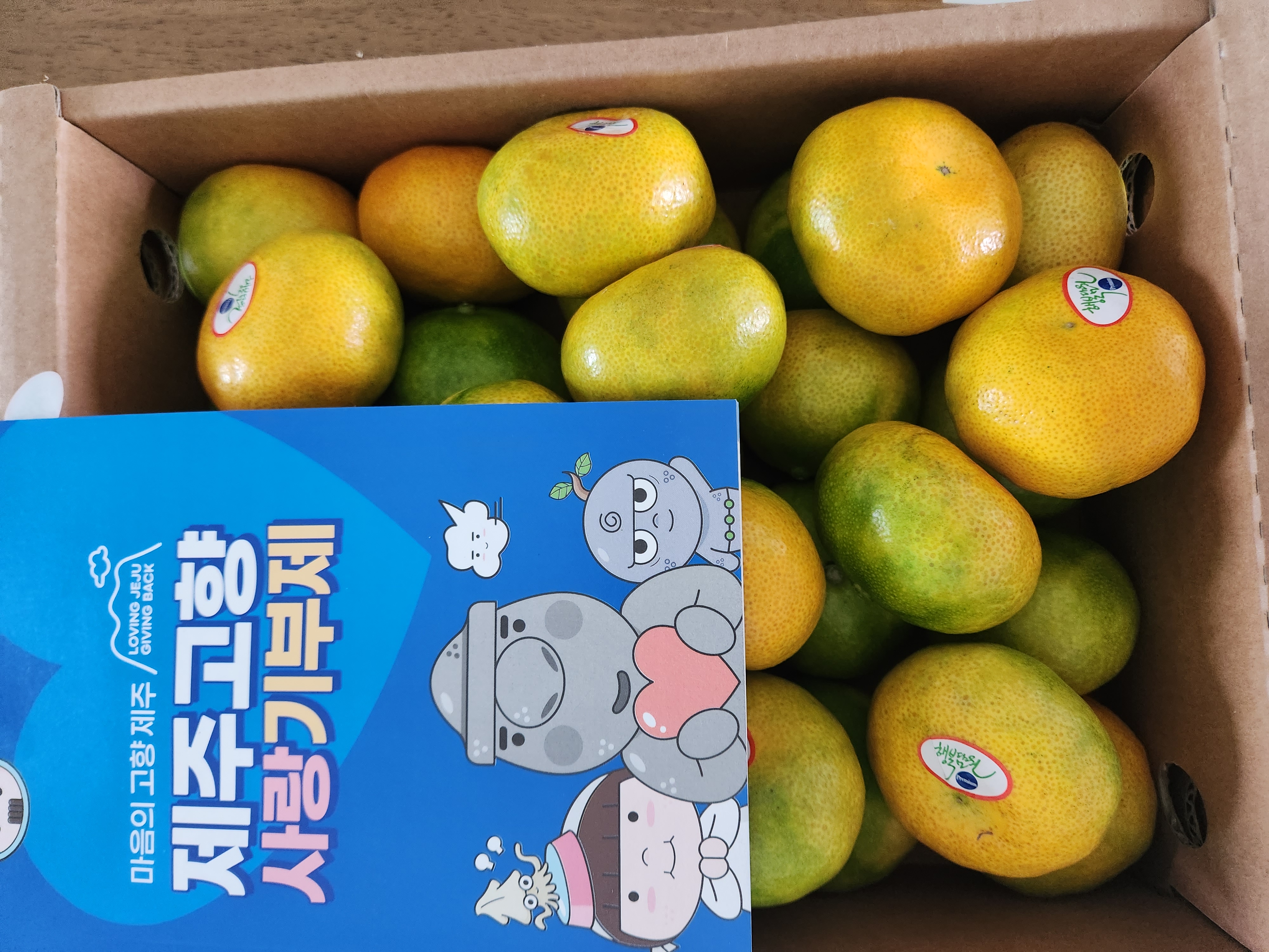 효돈 농협 감귤 (3kg/5kg)-2
