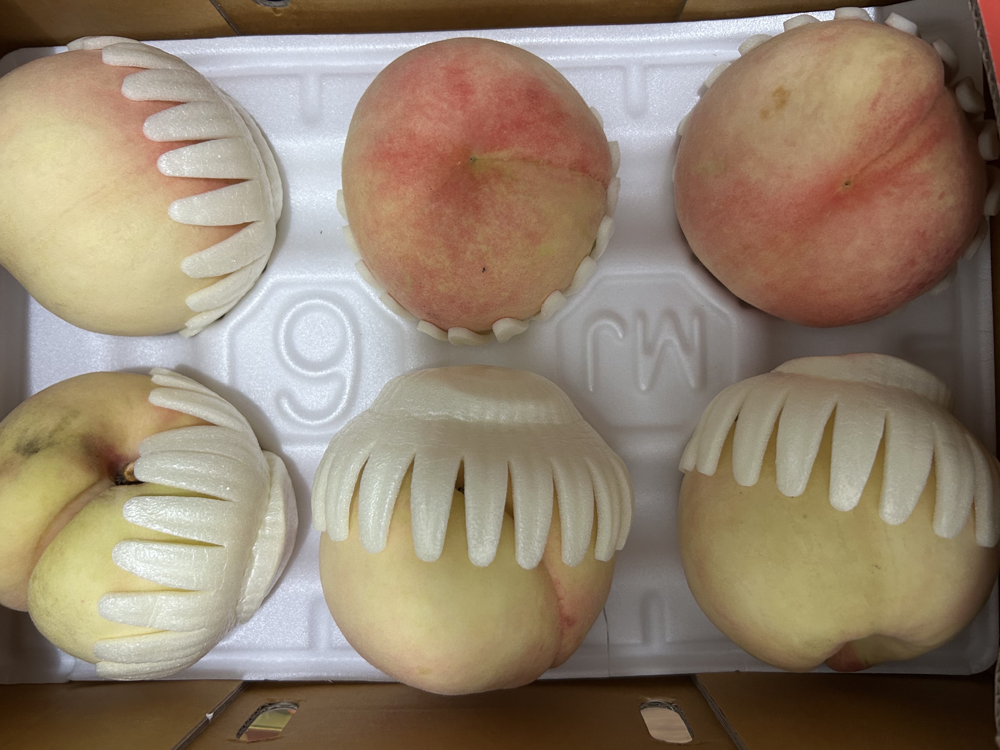 무주 반딧불 백도복숭아 3kg-1